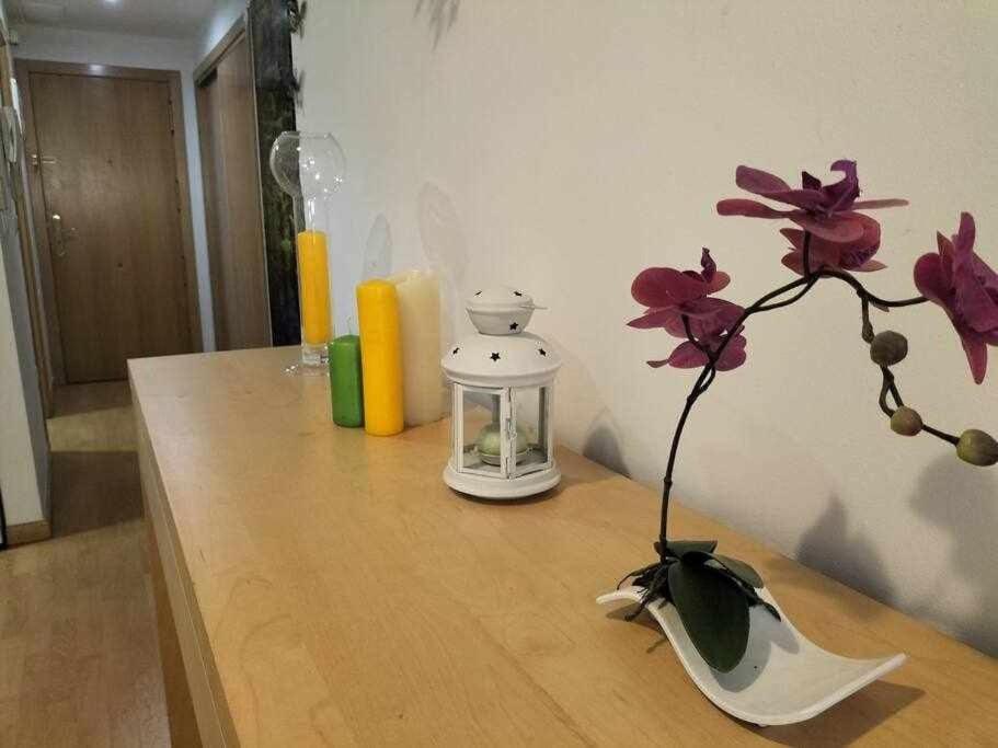Loft Old Couples Getaway Apartment *